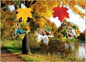 Осень. Падают кленовые Листья